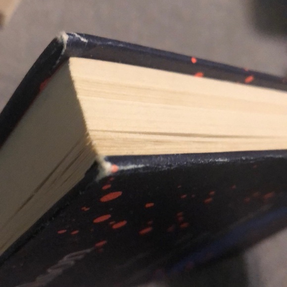 Sarah Wilson: First, we make the beast beautiful - Picture 2 of 3